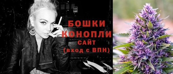 стаф Балахна