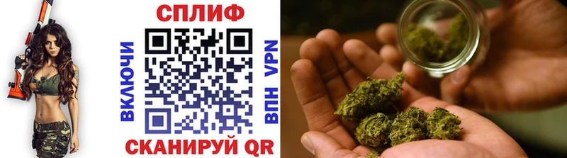 Бошки Шишки планчик наркотики Дубна
